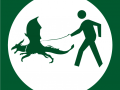 dragon_walking_area_by_leccathufurvicael-d4n65h9.png